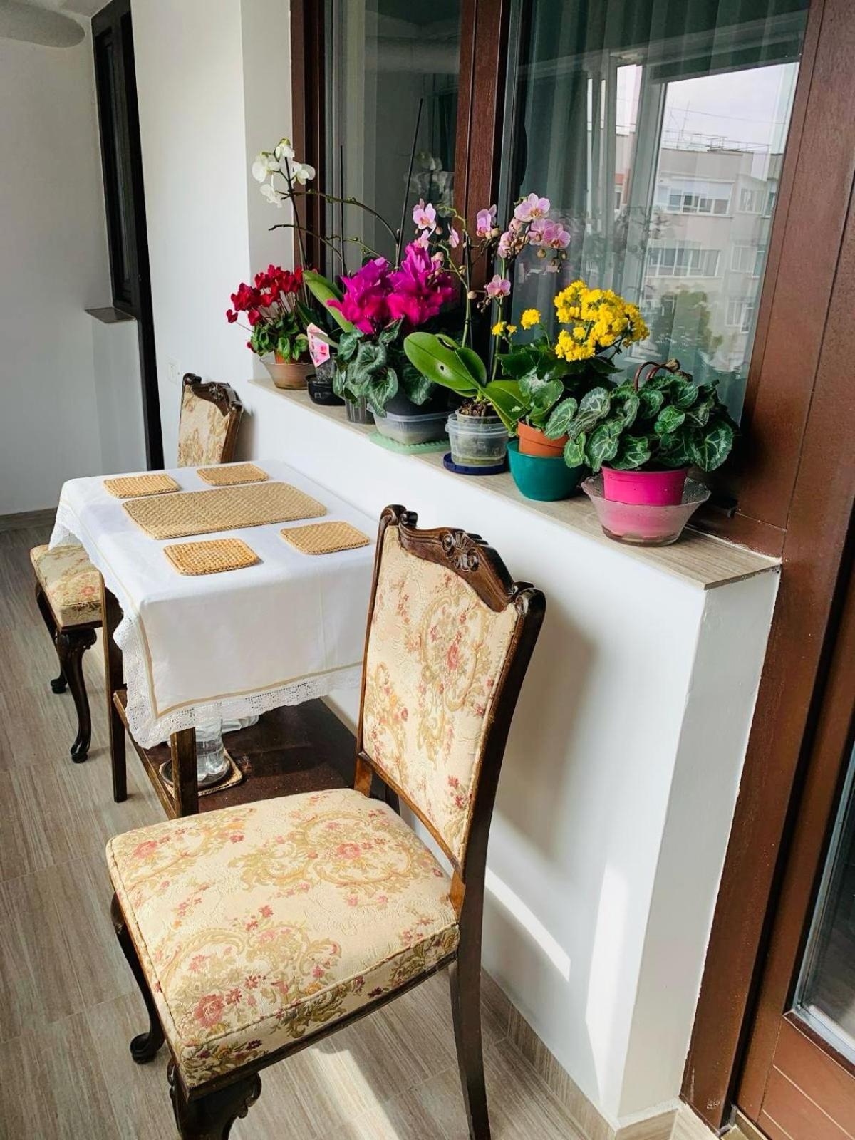Sofiart Apartment Bukarest Exteriör bild